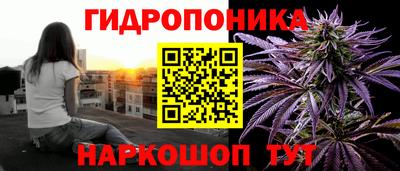 дурь Владимир