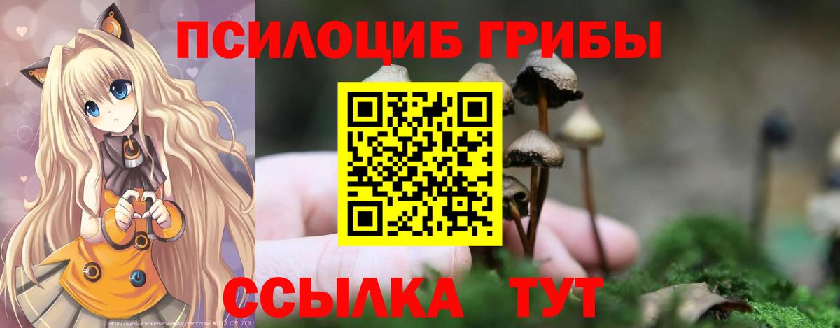 Великий Устюг  купить  цена  Вход с VPN  Псилоцибиновые грибы Magic Shrooms 